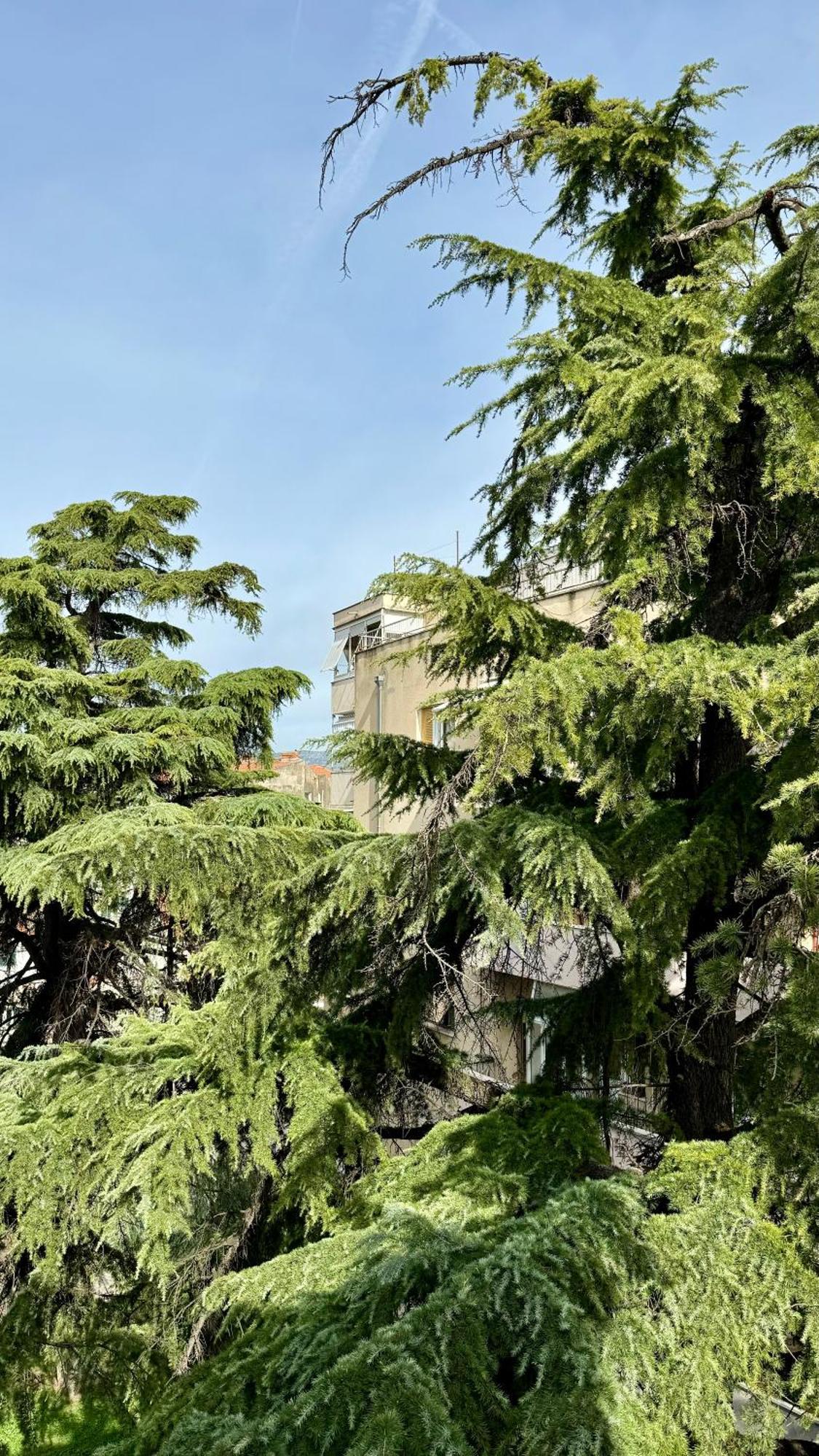 Jardin Rooms Split Exterior foto